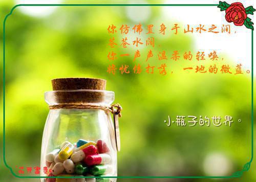 营销策划硕士工作简历模板下载