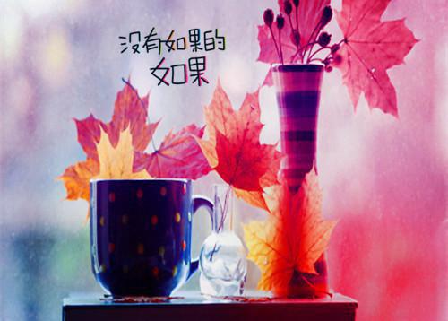 小学体卫艺工作报告