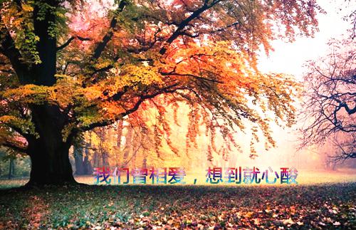 最新简单租房合同