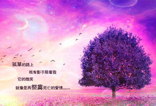 移动通讯分公司综合部工作总结报告