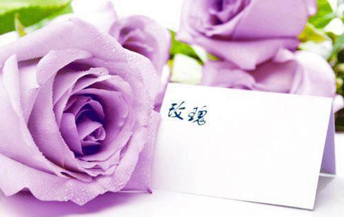 童话故事作文800字