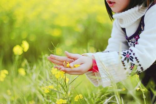 应届毕业生外语教师实习小结