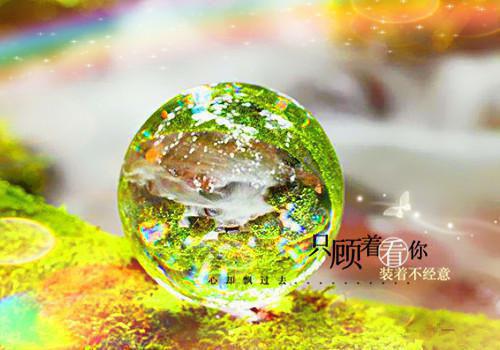 好听励志的钢琴曲