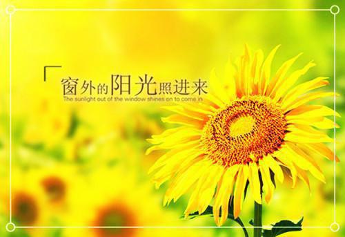 工商所监管服务工作报告