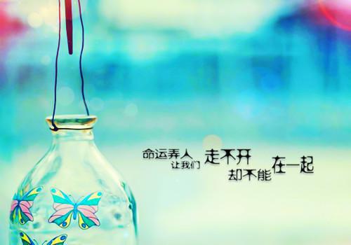 关于行政管理专业求职信范文六篇