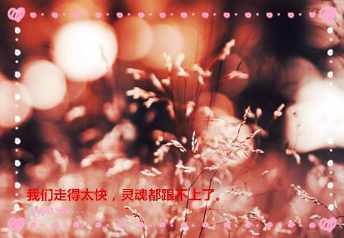 励志电影推荐八部