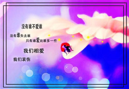 风电见习工作总结