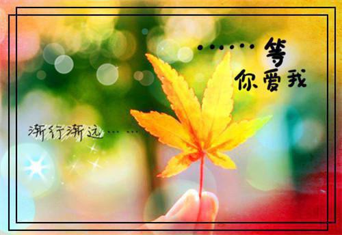 给大学老师的感谢信范文