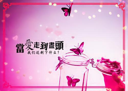 Loves.Witness(爱情的见证)