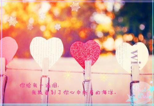 连荷居延小说(玻璃之笼)章节目录+起始篇章（连荷居延）全章无套路在线
