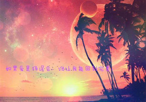 工作业绩证明
