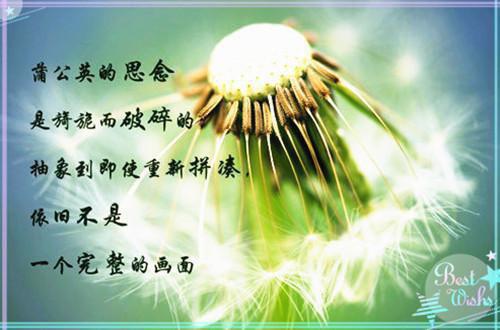 保育教师师德自查报告