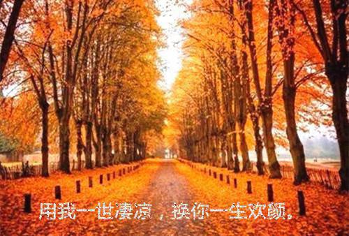 哄小朋友睡前故事【三篇】