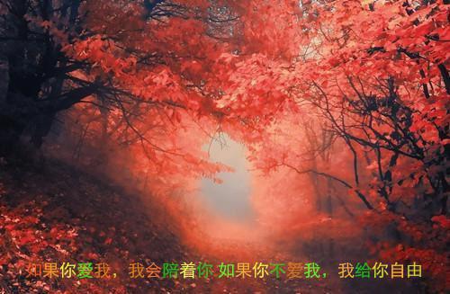 创建自查报告4篇