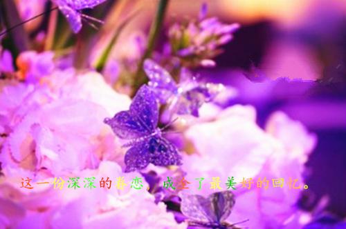 镇人武部防讯情况工作报告
