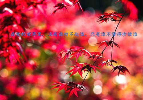 精选会计辞职报告范文汇编五篇