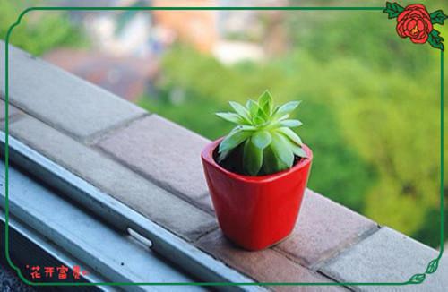 制药专业求职信范文五篇