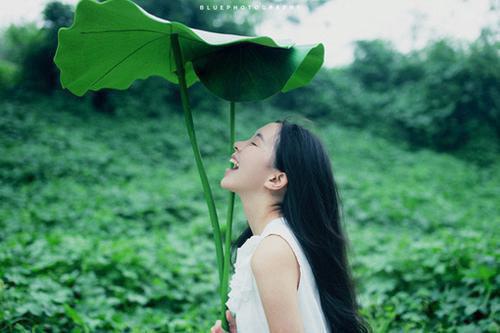 简单的离职报告
