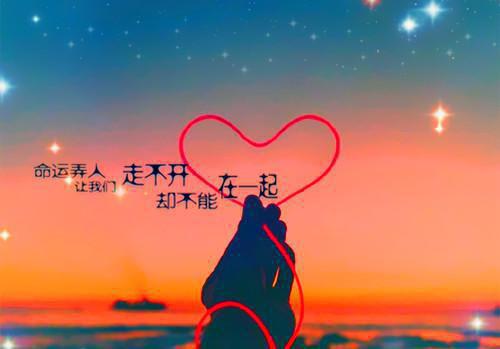 励志名人张海迪的名言集锦