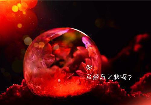 全市建立应急联动机制工作报告范文