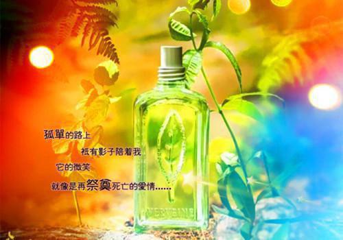 公司邀请函开头英语