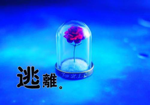 最伤感的爱情散文精选3篇