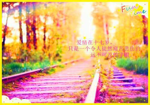 （书荒必看）京夜未眠小说(宋知韫)无删减在线下载阅读最终终章