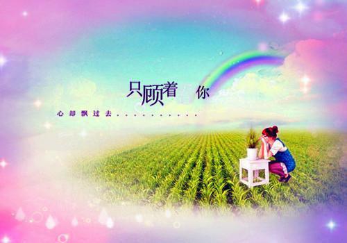 给个人的感谢信