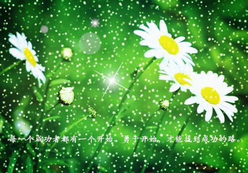 职场励志电影穿普拉达的女王