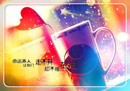 师德师风建设自查报告范文
