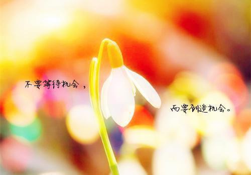 2023镇政府工作报告范文