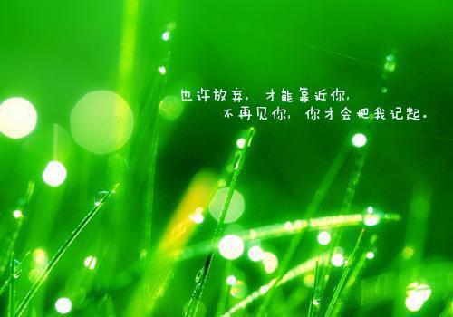 大学生义务支教心得：关爱留守儿童