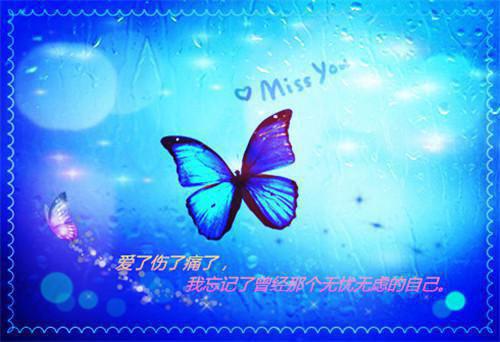 投标单位联系人的介绍信
