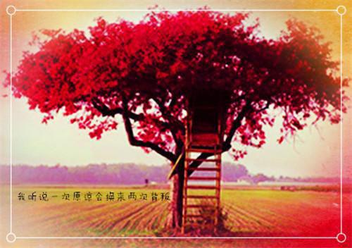大学推荐的必看经典书籍