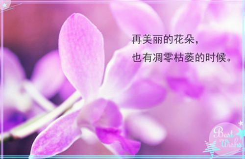 2023年支教社会实践报告心得体会范文