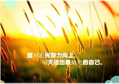 幼儿教育故事演讲稿素材