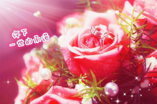 遵纪守法的倡议书格式范文