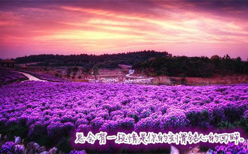 悲伤英文名人名言