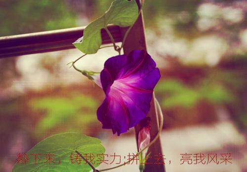 艺术交流邀请函范本