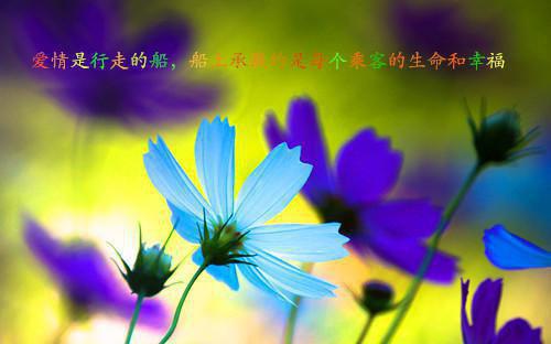 卫生学校毕业生自荐信4篇