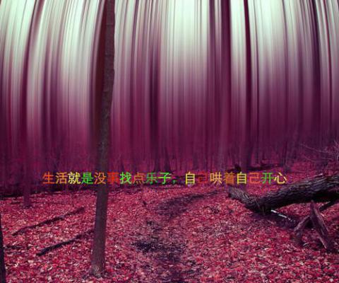 企业个人工作总结报告