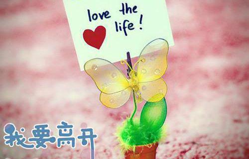 精选的培训介绍信的范文