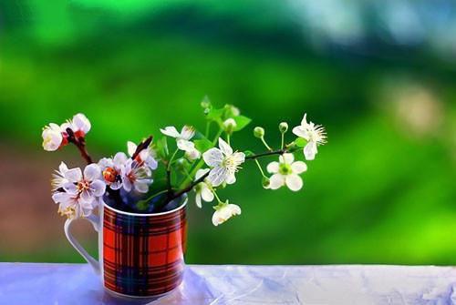 朋友结婚祝福送红包
