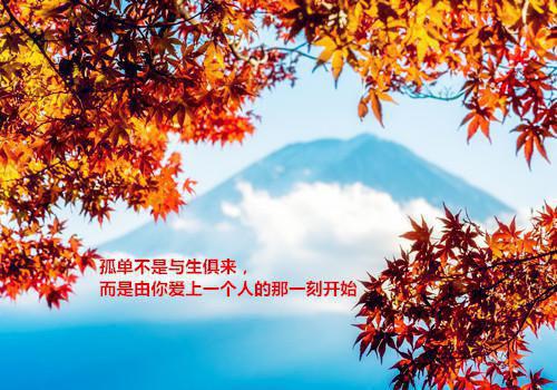 关于治理教育乱收费自纠自查报告