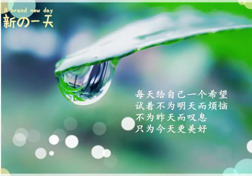 美育云端课堂活动总结小学精选6篇