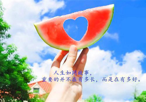 2023法院党支部工作报告