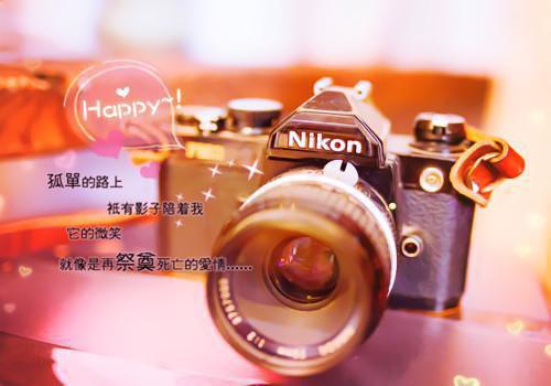打架的检讨书300字怎么写