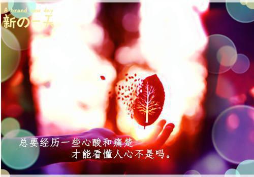 2023大专生求职信范文