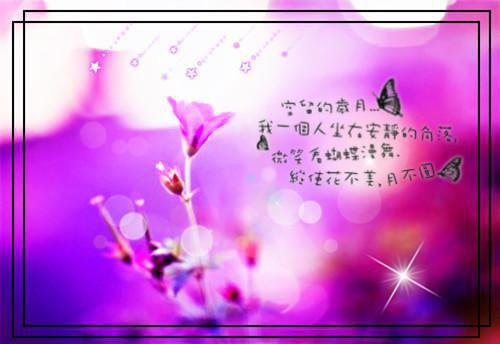 2023年大学生会计社会实践报告3000字