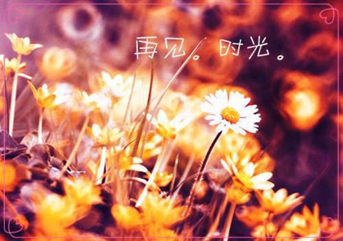 副部长的年度工作报告
